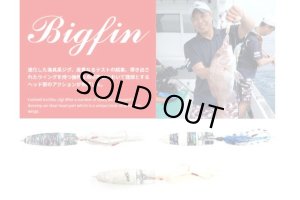 画像1: ホッツ　ビックフィン　１８０ｇ　アワビカラー