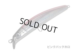 画像4: 魚じゃらし工房　Tease210　(ティーズ210)